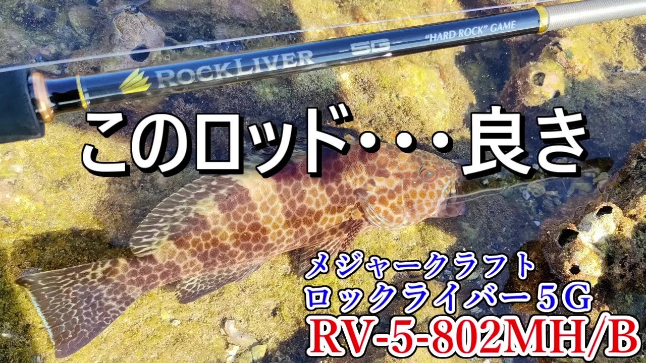 メジャークラフト　ロックライバー５G　ベイトロックフィッシュロッドをレビューしてみた　RV-5　802MH/B