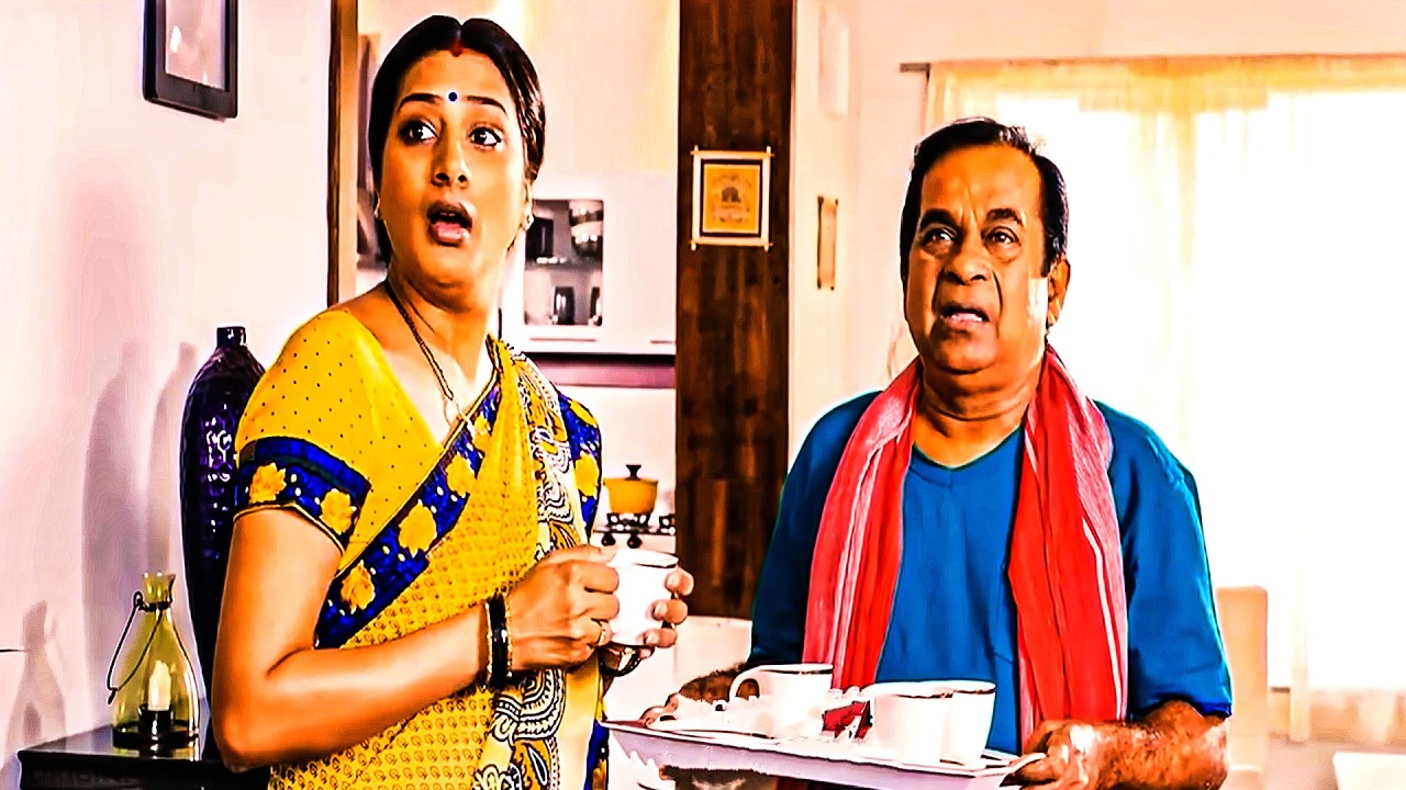 Brahmanandam Comedy Scenes Back to Back |  Telugu Movie Comedy Scenes | iDream