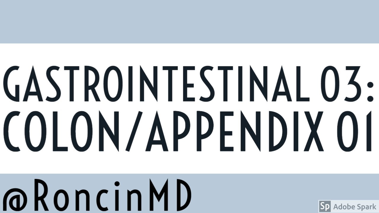 Slide Review: GI 03 - Colon and Appendix 01