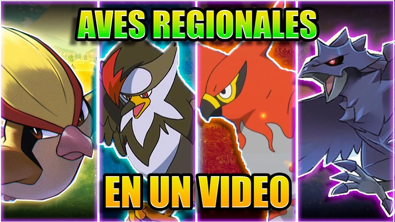 TODAS LAS AVES REGIONALES EN UN VIDEO