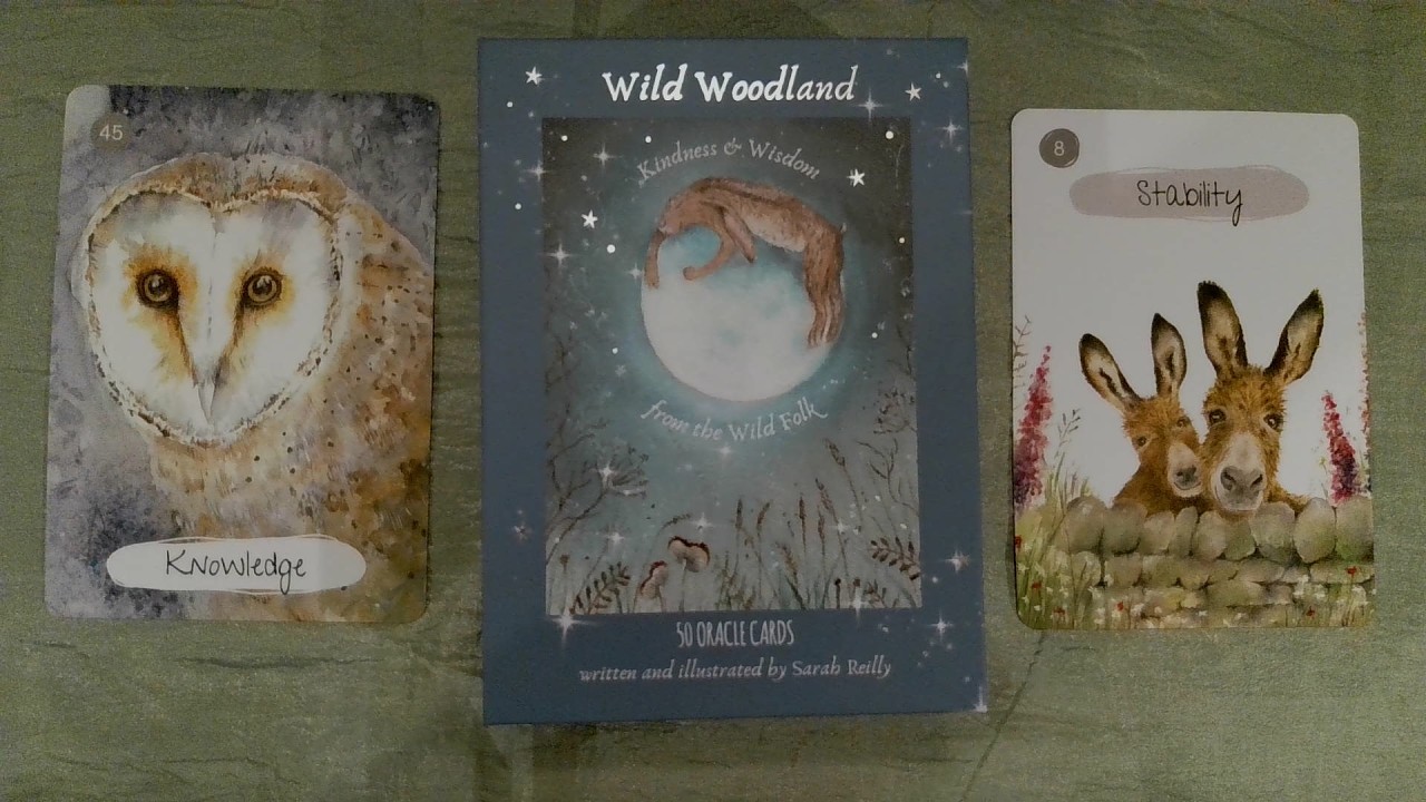 Meet the Wild Woodland Oracle & Journal Book