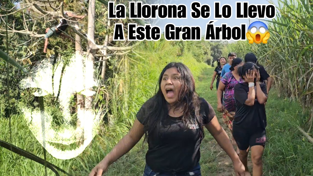 🔴La Llorona Se Llevo A Kevin A Este Magestuoso ÁRBOL ENCANTADO, La Leyenda Era Cierta😱