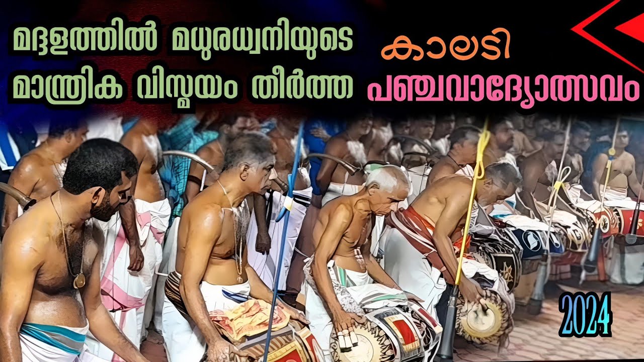 Panchavadyam | ആസ്വാദകരെ ആവേശം കൊള്ളിച്ച് കാലടി പഞ്ചവാദ്യോത്സവം മദ്ദള മുഖം | Kerala M | Viral Cuts