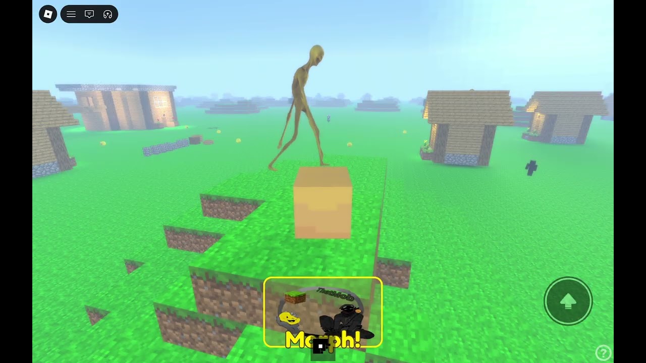 Verity morph
