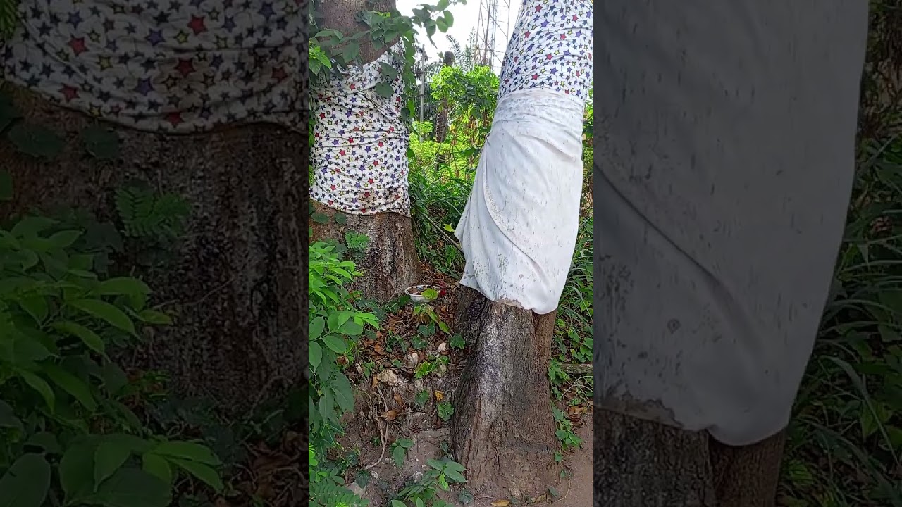Special prayers before Akpụ Ọkala-Ete. Connect and be blessed. WhatsApp 08032477868 