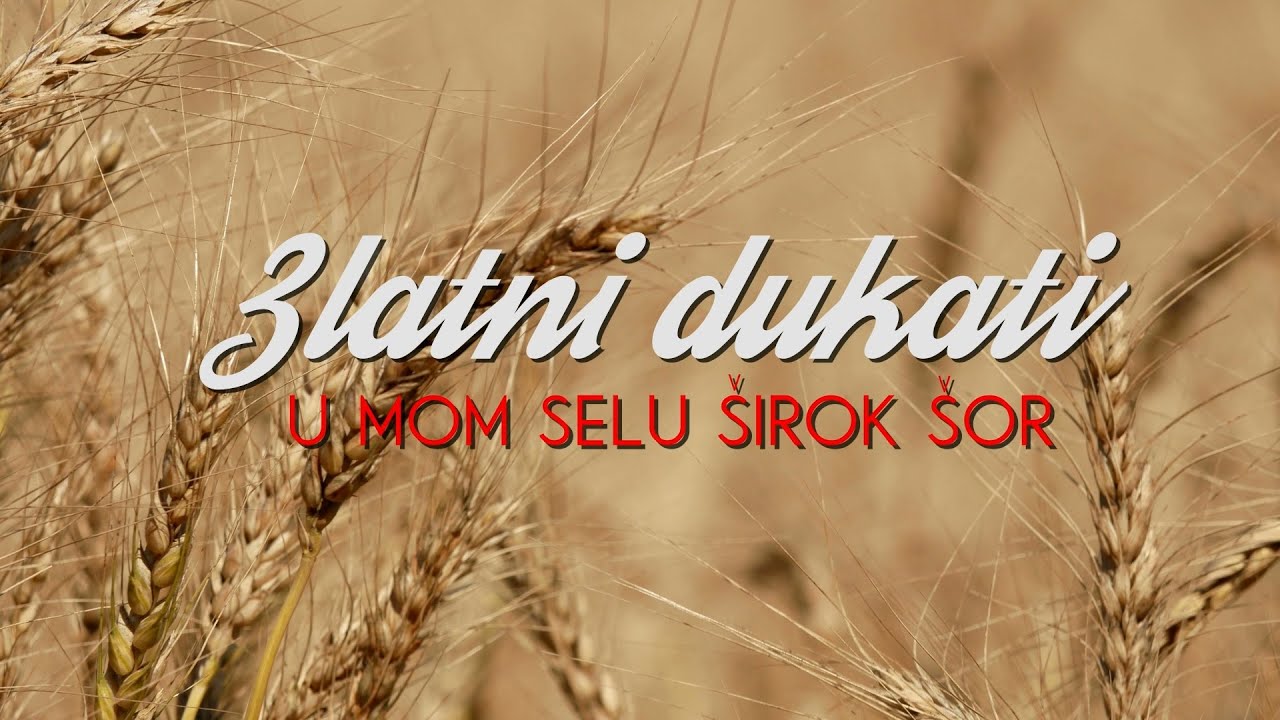 Zlatni dukati - U mom selu širok šor (Lyric video)