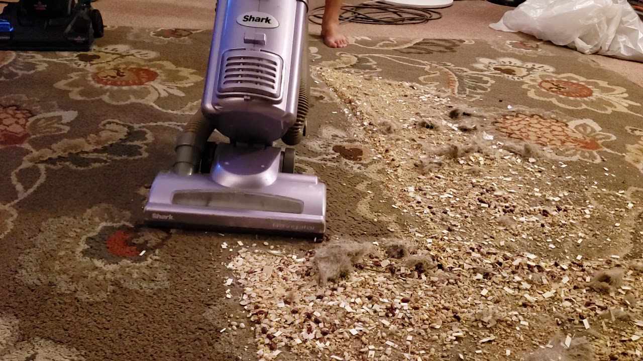 Big Mess Test Vacuuming - Shark and Bissell