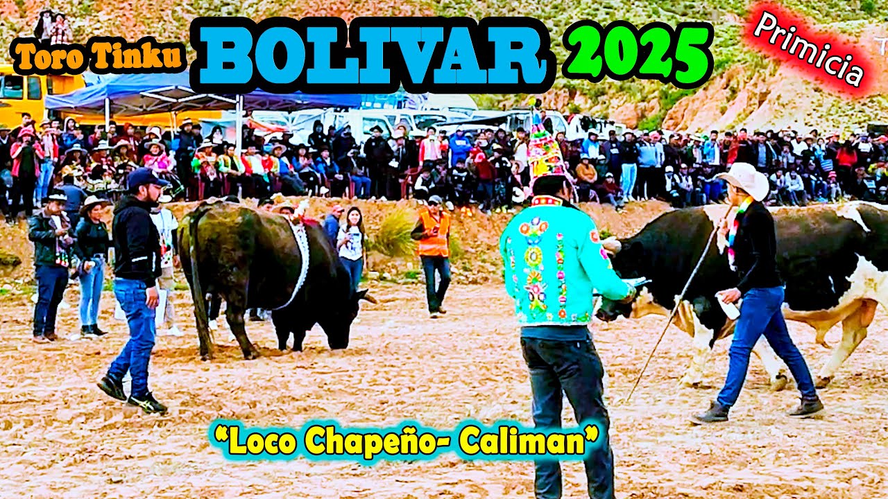 ToroTinku de BOLIVAR 2025 -