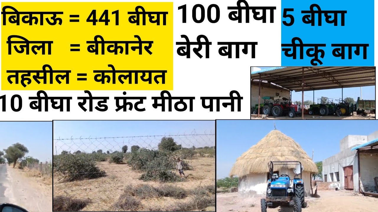 441बीघा बिकाऊ,बीकानेर कोलायत,100 बीघा बेरी बाग, 5 बीघा चीकू बाग, 2 मंजिला कोठी, 10 बीघा रोड फ्रंट