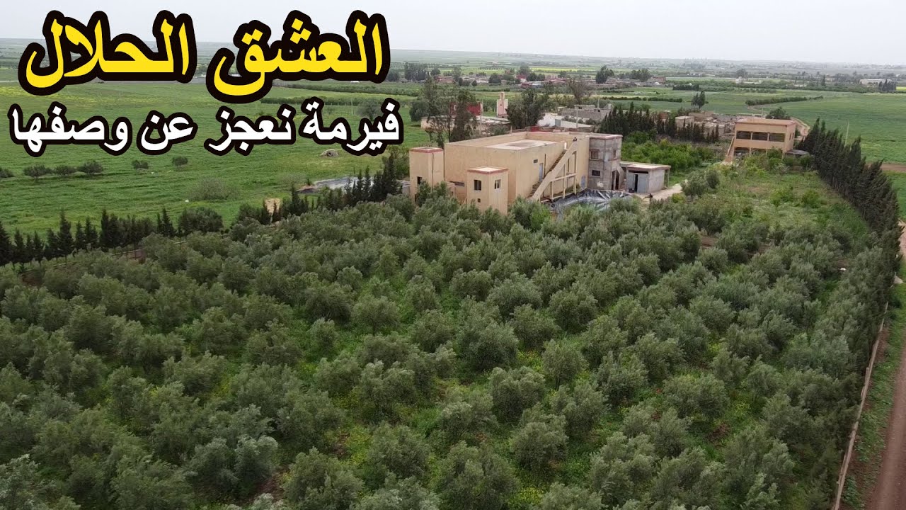 ✨ العشق الحلال فيرمة تخطف العقول بأجمل سكن و أروع التجهيزات و الأشجار الكثيرة المنتجة ✨ سطات