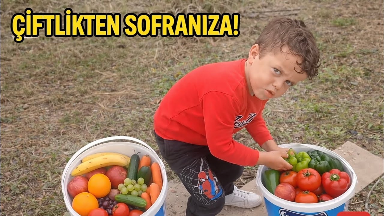 BAHÇEMİZİN MEYVE VE SEBZELERİNİ TOPLUYORUM 🍏🍇🍅