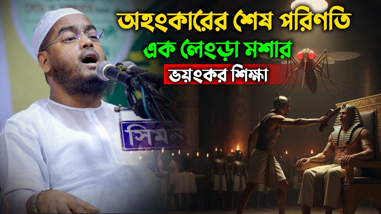 নমরুদ ও ফেরাউনের ভয়াবহ পরিণতি! অহংকারের শেষ কোথায়? | কলিজা কাঁপানো বয়ান | হাফিজুর রহমান সিদ্দিকী