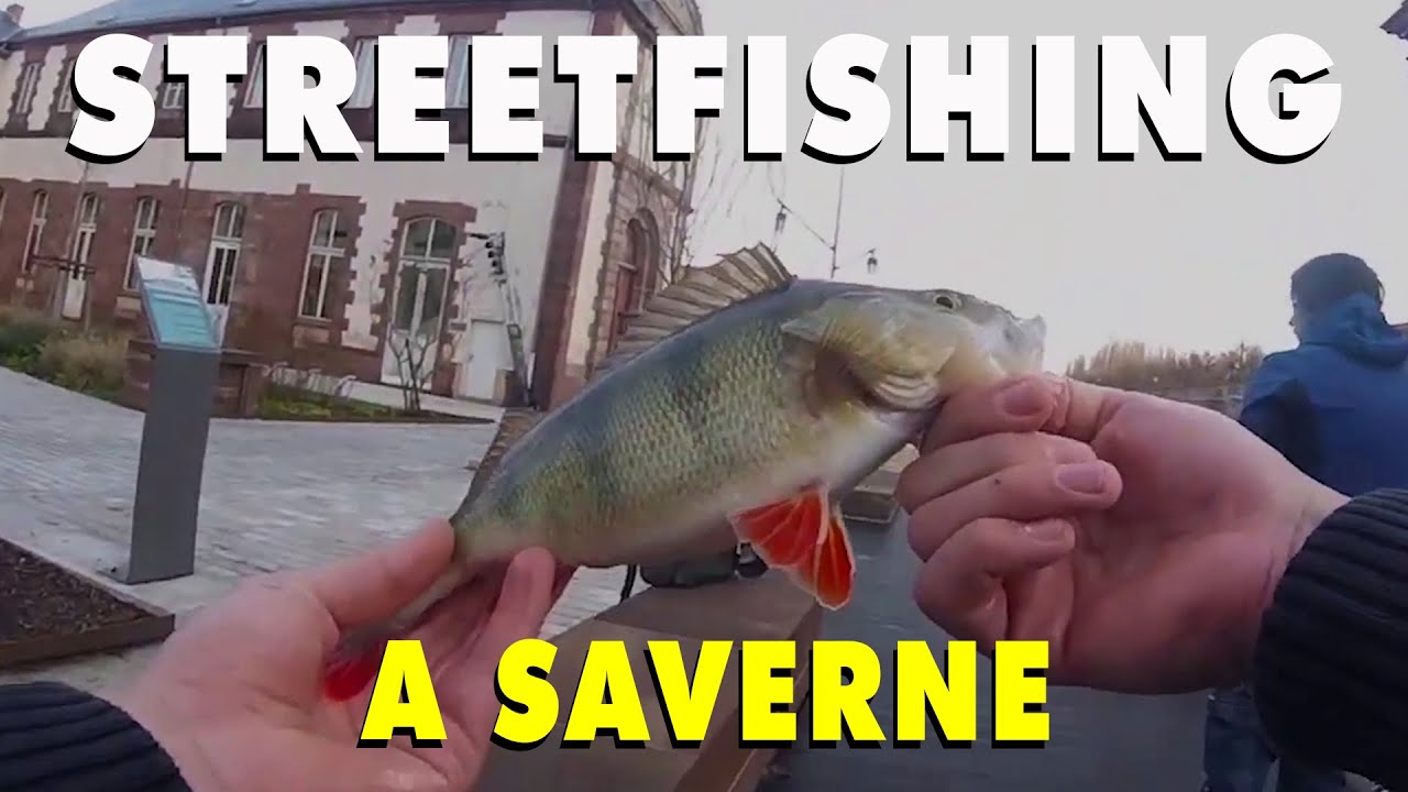 PÊCHE en STREETFISHING à SAVERNE