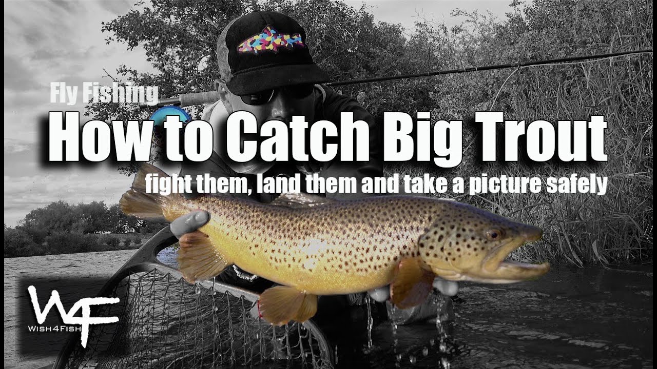 W4F - Fly Fishing Tips 