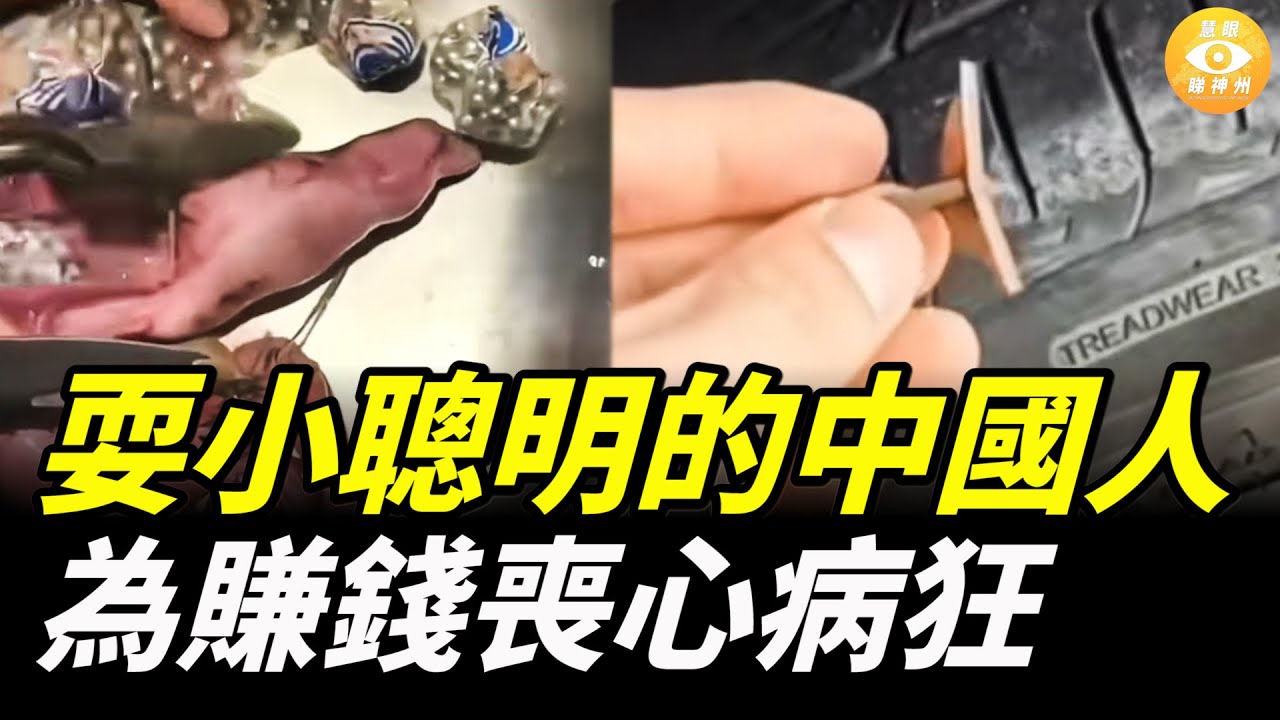 中國人的聰明用錯了地方，為賺錢喪心病狂，各種造假太缺德……