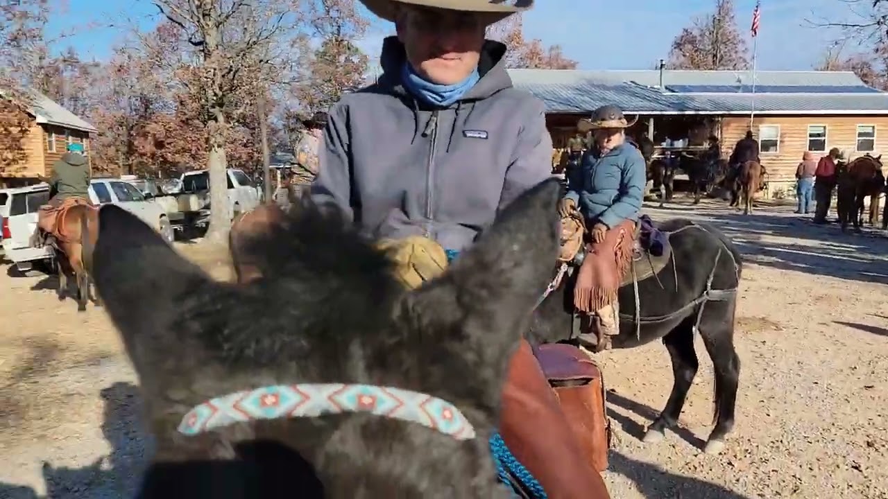 2022 Caney Mountain Fall Mule Ride