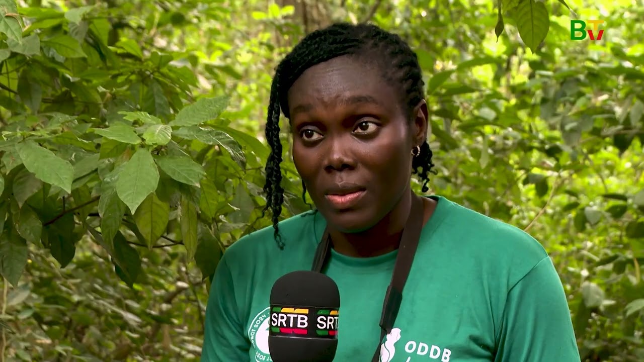 Conservation de la biodiversité : Chrystelle Dakpogan Houngbéji, un exemple