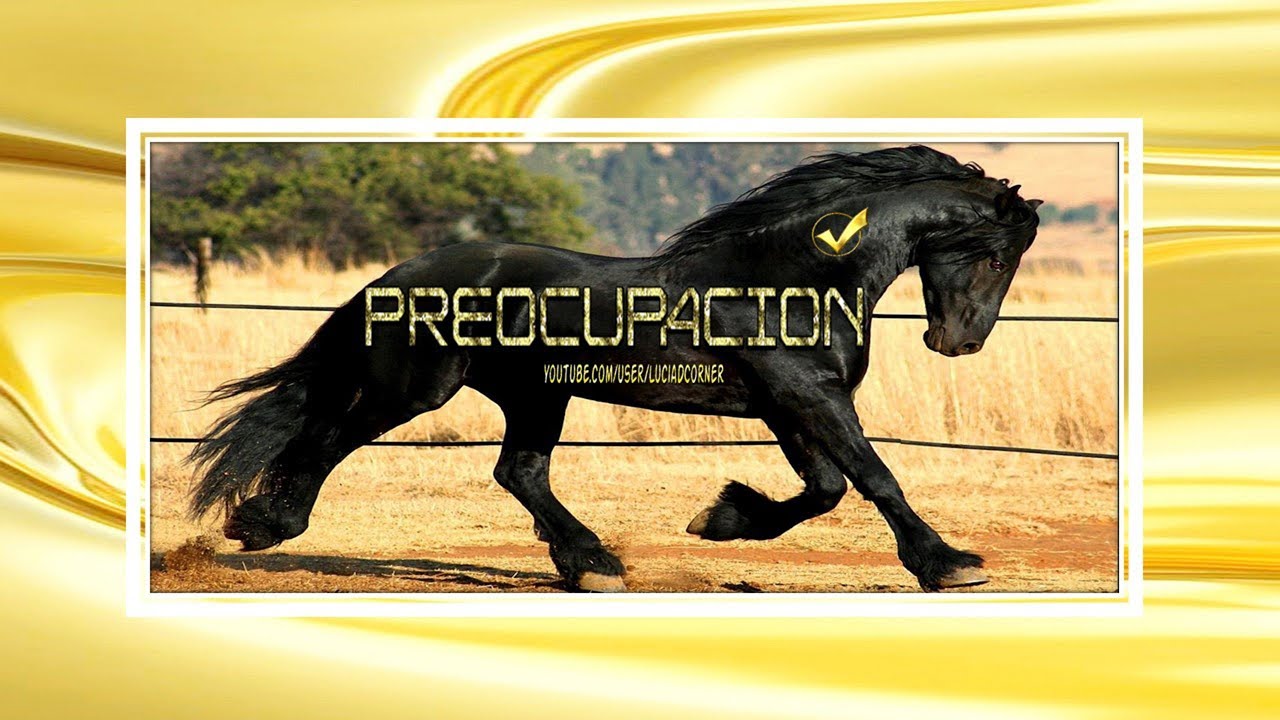 Preocupaciones