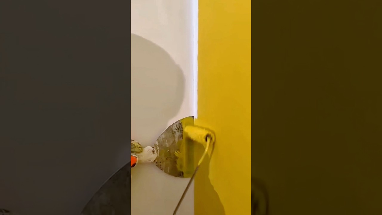 Precision Edge Painting Using a Putty Knife for Clean Wall Corners
