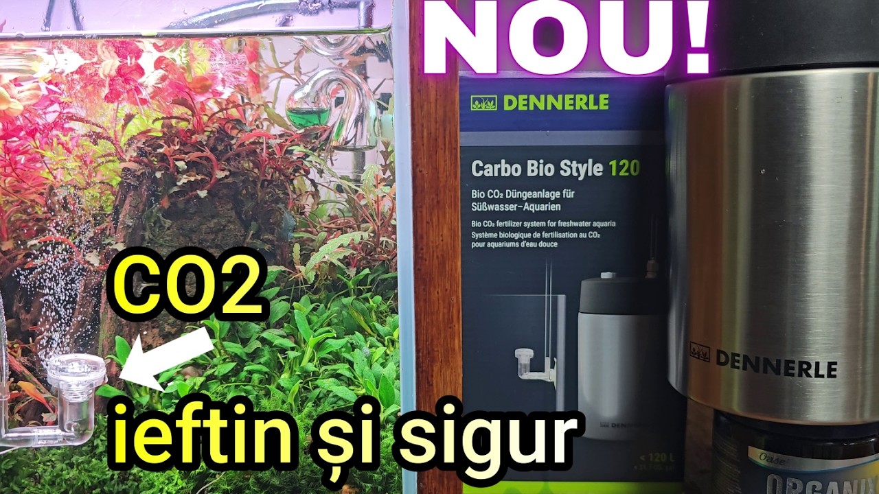 Bombă profi de Co2, gata de cumpărat, nu bricolat😜 Dennerle bio 120