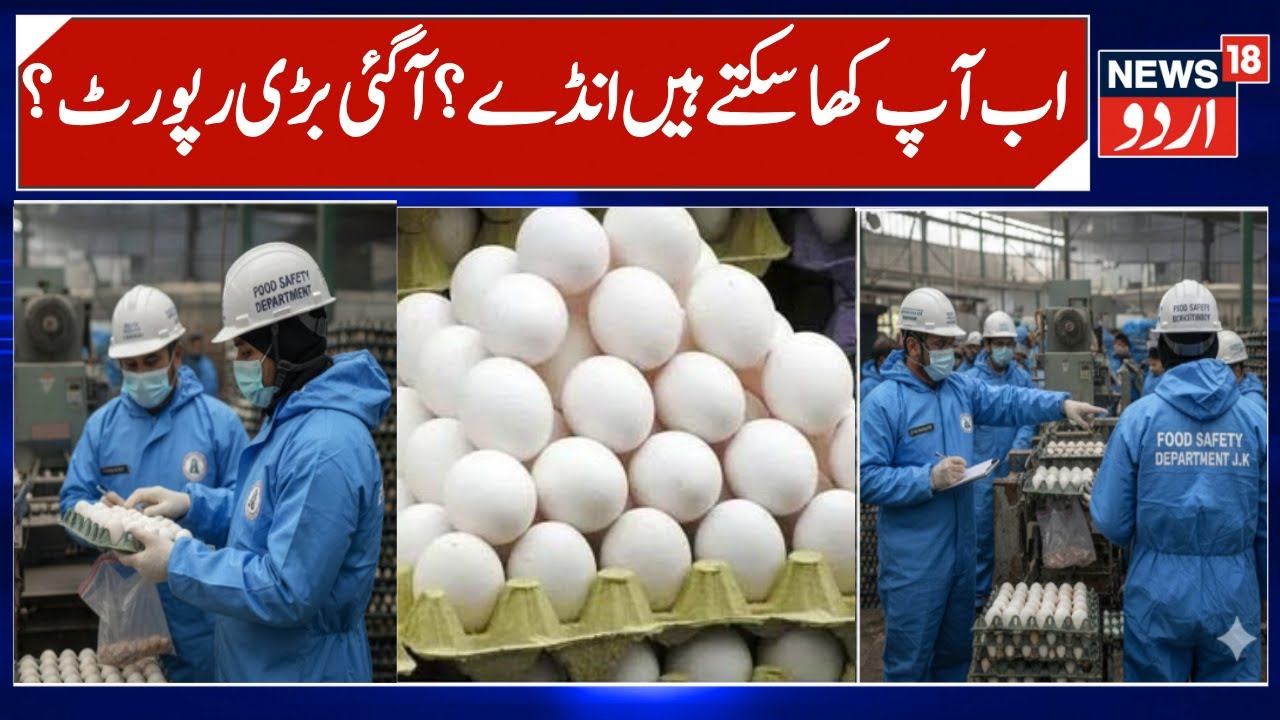 Final Report on Eggs Controversy in J&K? | Are Eggs safe for Health or Not?, Food Safety Dept Report
