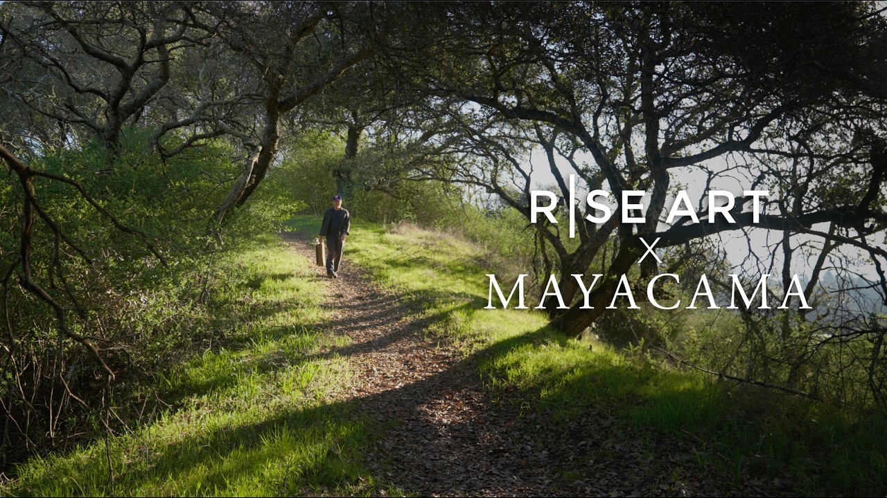 Ezra Johnson Artist Residency at Mayacama | Rise Art