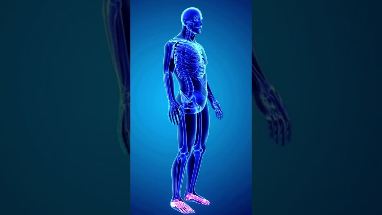 What does copper do in the body?