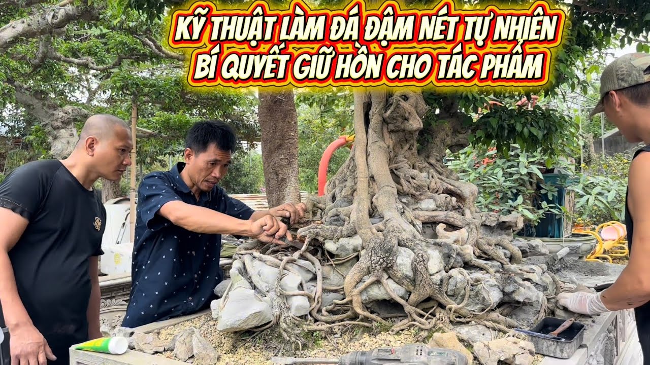 Kỹ Thuật Làm Đá Đậm Nét Tự Nhiên – Bí Quyết Giữ Hồn Cho Tác Phẩm bonsai#bonsai #bonsaiart88 #cây 