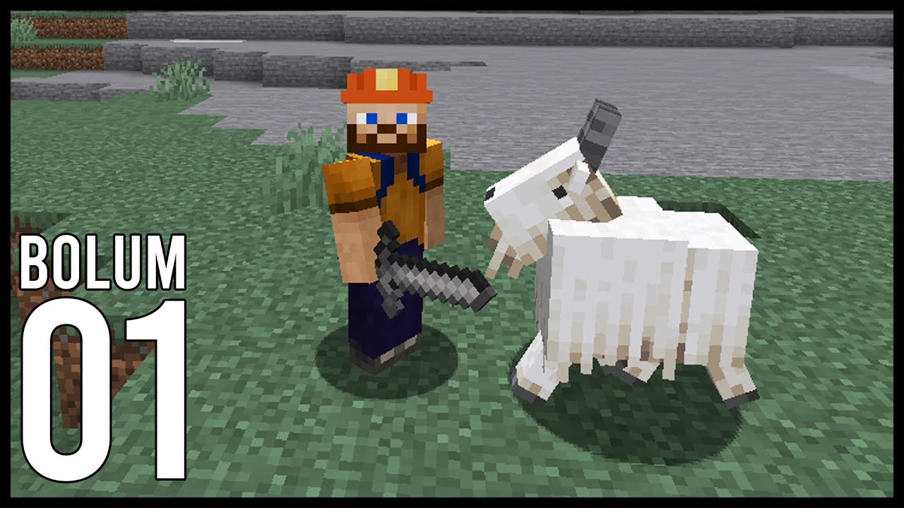 ADŞ İLE MINECRAFT SURVIVAL #1