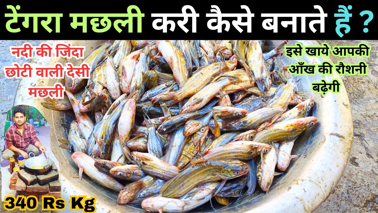 नदी की छोटी वाली टेंगरा मछली एक बार मेरे अंदाज में बना के देखें,सभी तारीफ करेंगे | Tengra Fish Curry