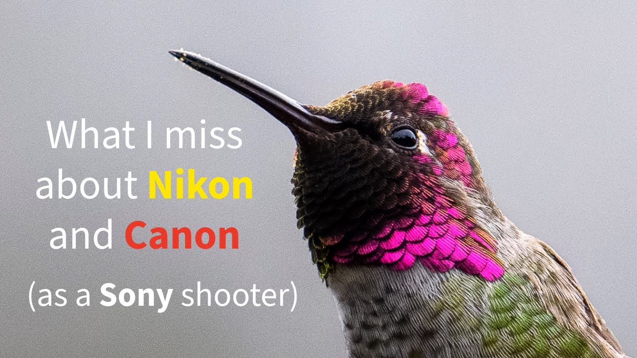 Чего мне не хватает в Nikon и Canon, как фотографу на Sony