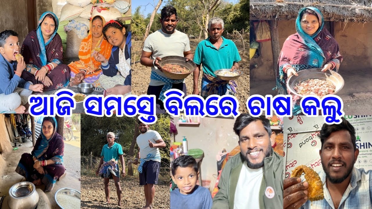 ବାପା ଙ୍କ ସାଙ୍ଗରେ ବିଲରେ ସମସ୍ତେ ଚାଷ କଲୁ // ବିଲ କାମ କରି ବାହାରିଗଲି ଭଡାରେ @lifeofsridhar9099 