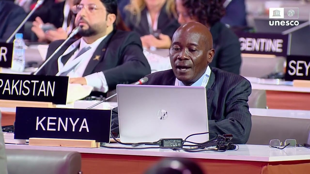 UNESCO ICH - 17th session of the Intergovernmental Committee - Floor  29 novembre 2022 am pt6apart2