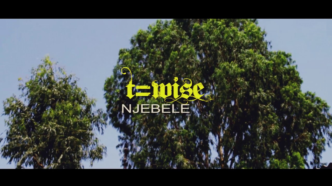 T wise Njebele