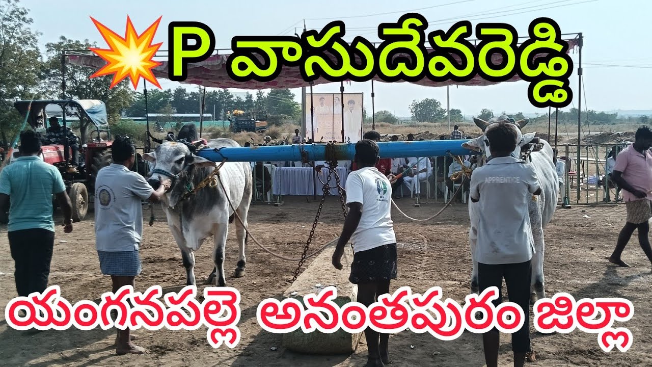 🚩10/2/26దొడ్లవాగు సీనియర్స్ 11జత