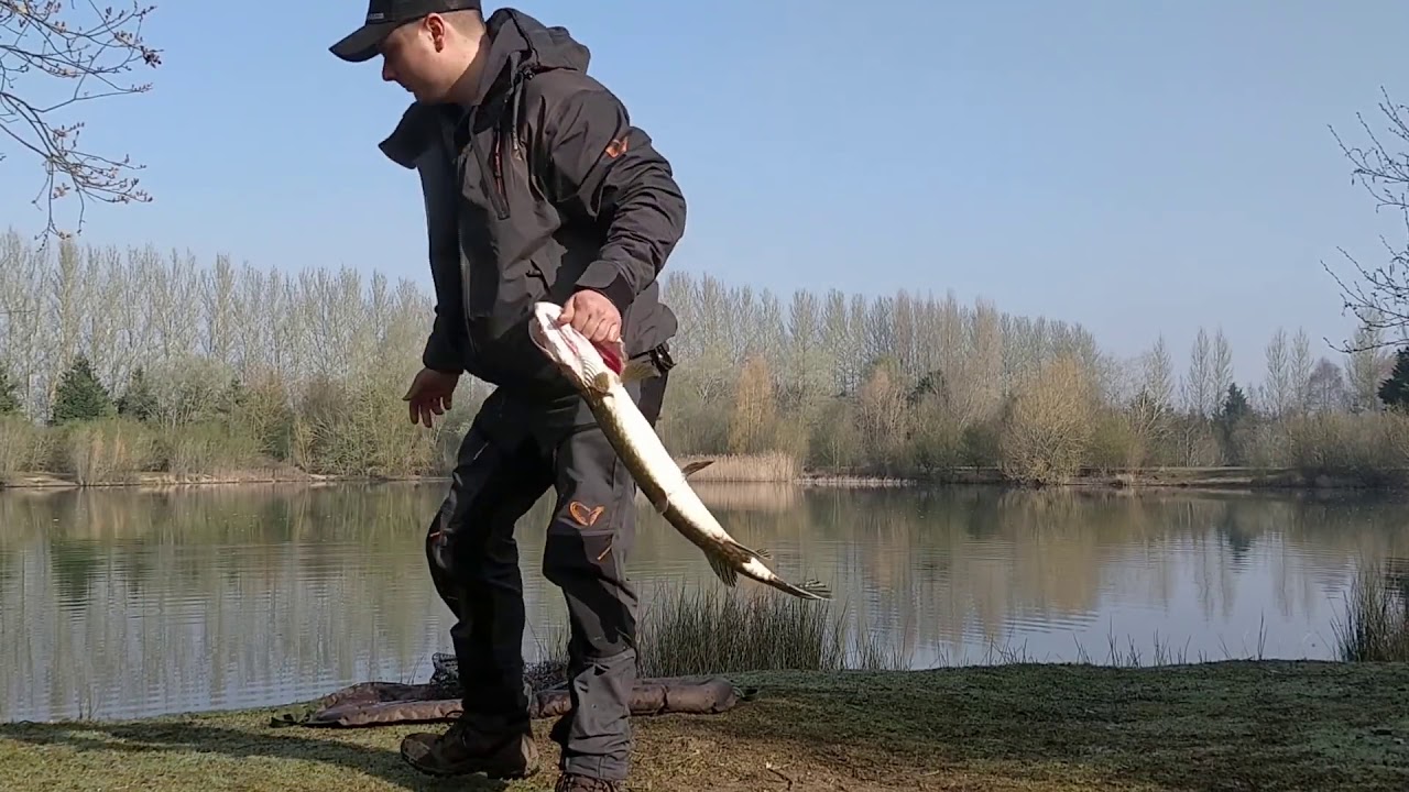 Pescuit la stiuca cu gume