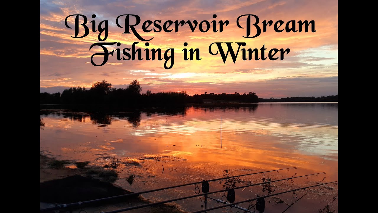 Alton Water, Suffolk #winterfishing #fishing #essex #bream #angling #bigbream #reservoirbream