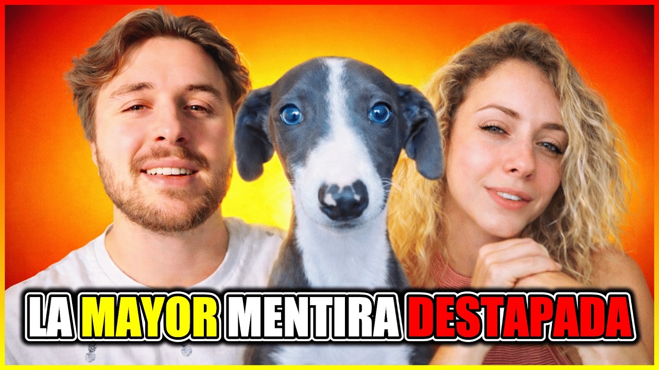 DALAS ES BRUTALMENTE EXPUESTO Y SE DESTAPA LA MAYOR MENTIRA