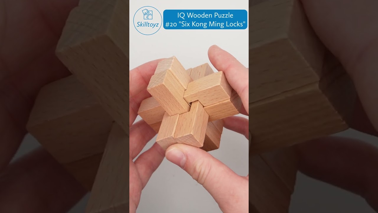 Skilltoyz IQ Wooden 3D Puzzle design 20 