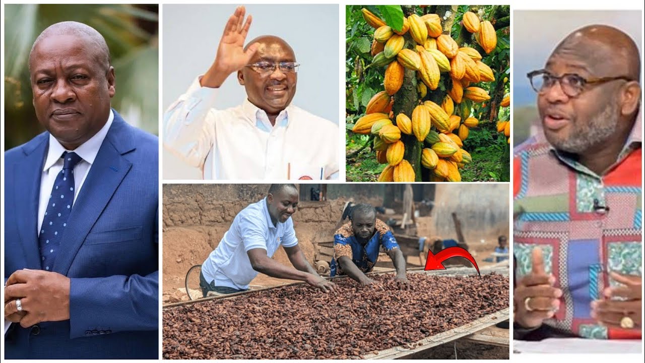 Cocoa farmers finally voice out👏John Mahama will fix it? will NPP accept blames on Bawumia over this