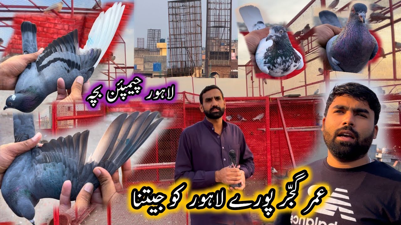 Umar Gujjar Ki Chaat Ka ShooQ 😲