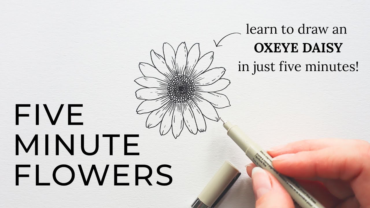 Цветы за пять минут | OXEYE DAISY ✿ Научитесь рисовать цветы всего за пять минут!