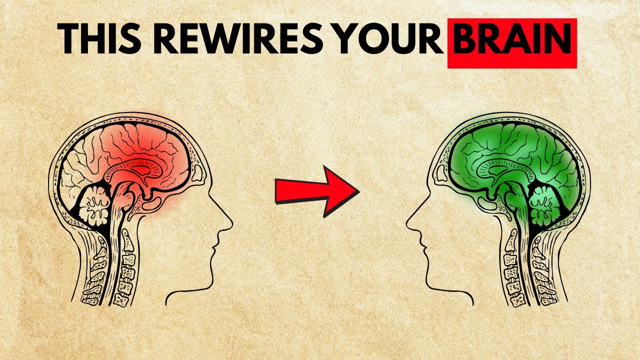 6 Brain Exercises to Unlock Superhuman Brain Power and Focus