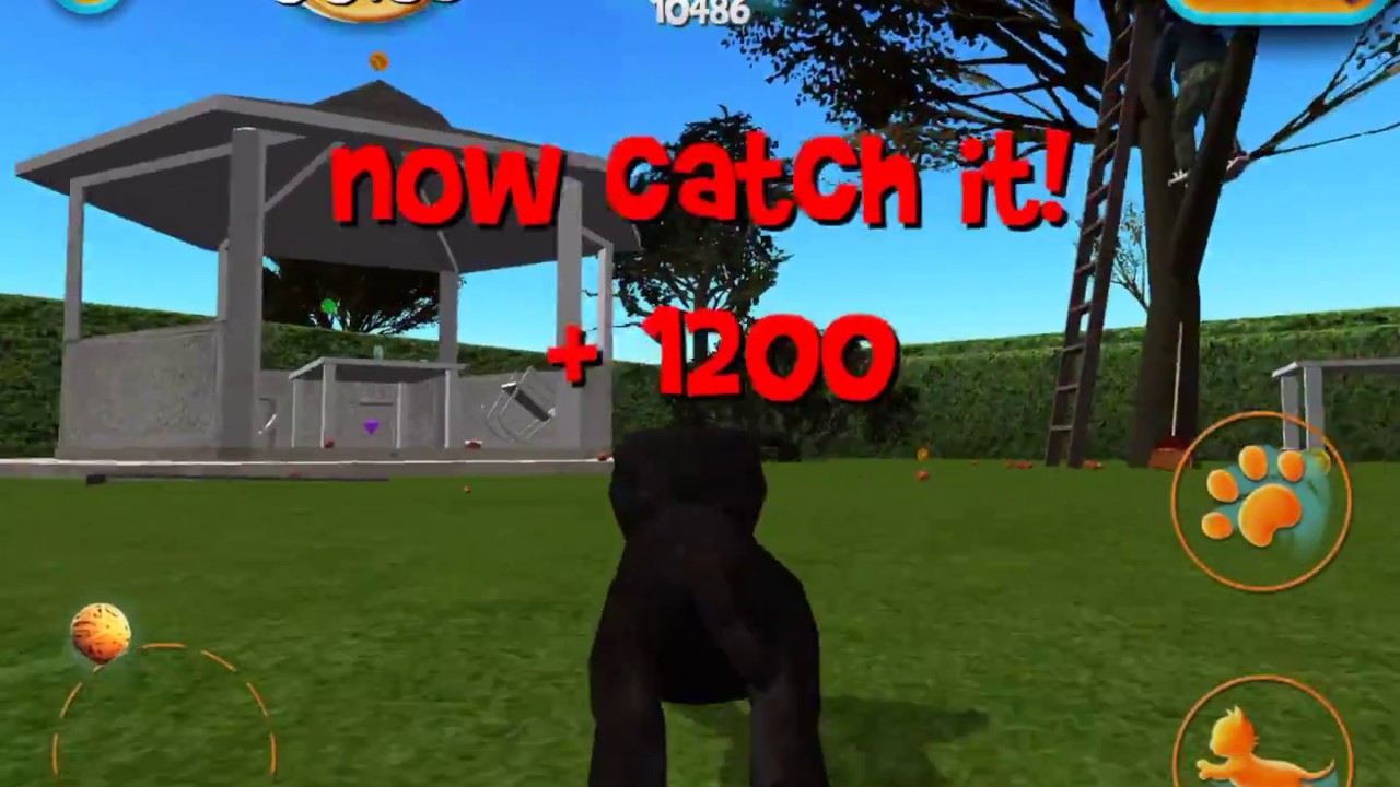 Cat Simulator 2015 - Garden 1
