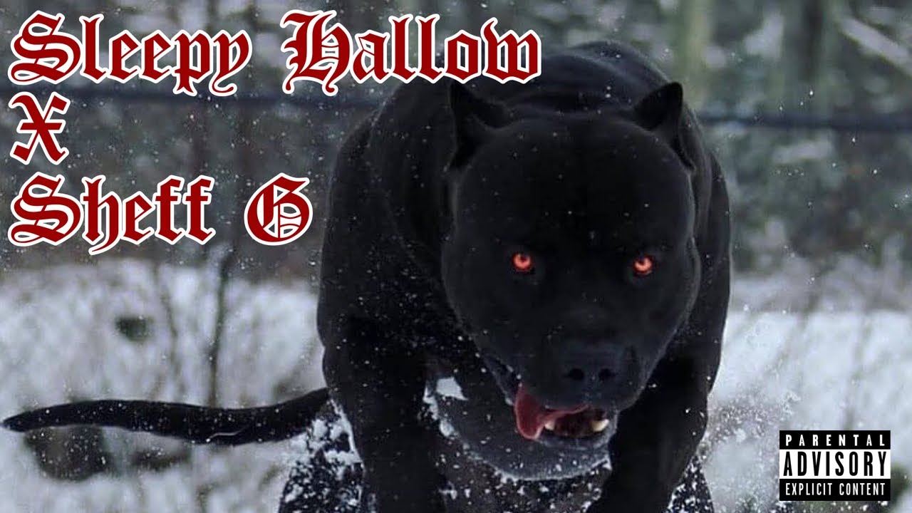 Sleepy Hallow X Sheff G Compilation of Unreleased Songs