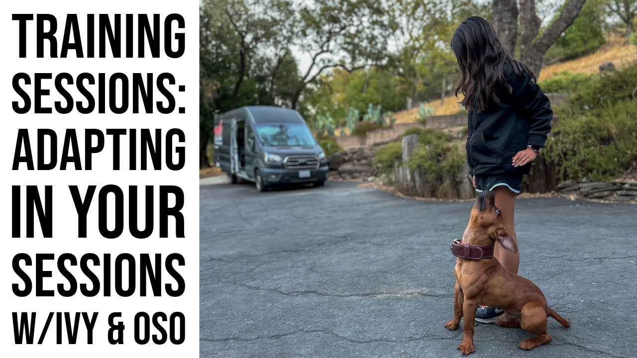 Training Sessions: Adapting in your session w/ Ivy & Oso