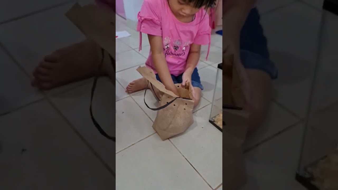 Beli Hamster di Pasar Hewan