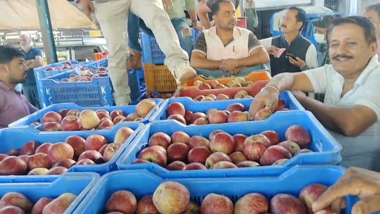 #Aaj Royal Apple mein bahut tej hai sabji mandi Bhuntar #Kullu# Himachal Pradesh#