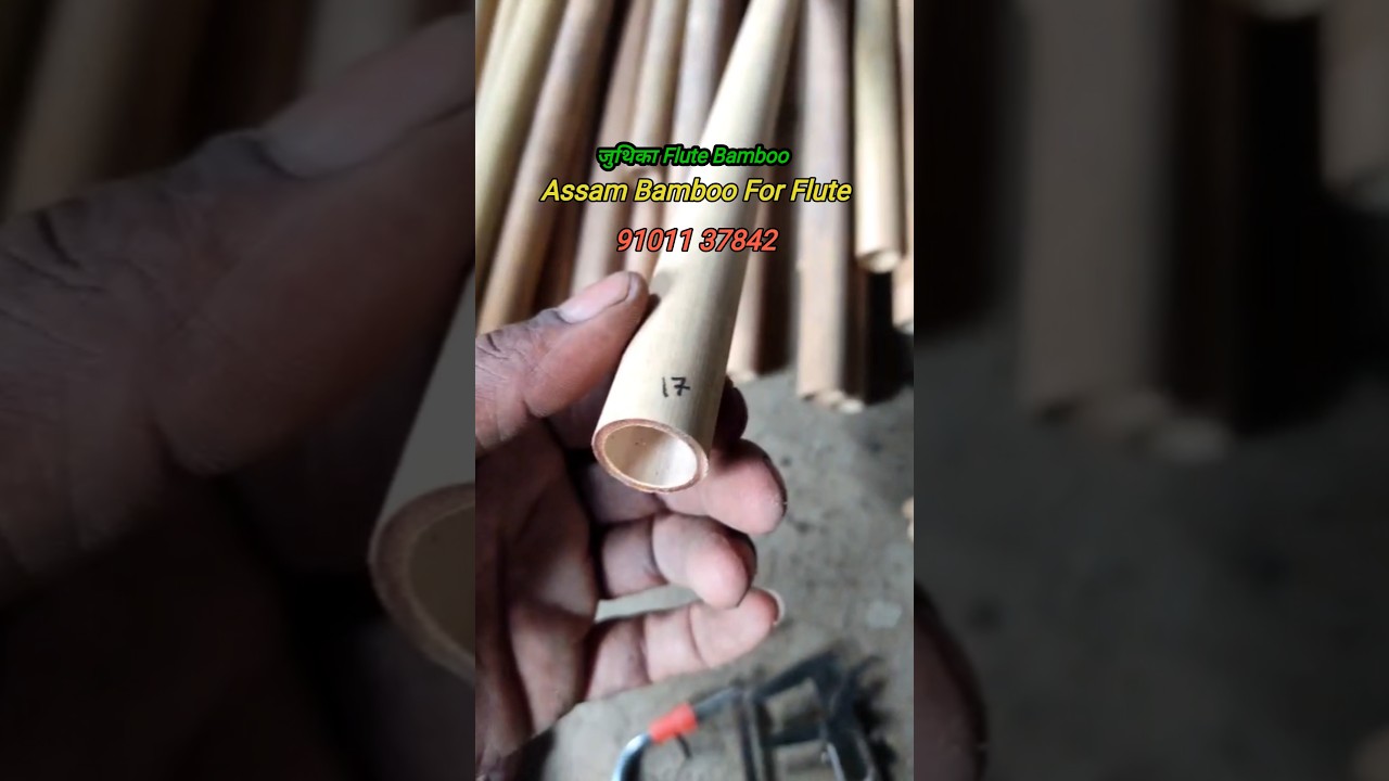 Assam Bamboo For Flute | Raw Bamboo For Flute | #flute |#bamboo  |#shorts
