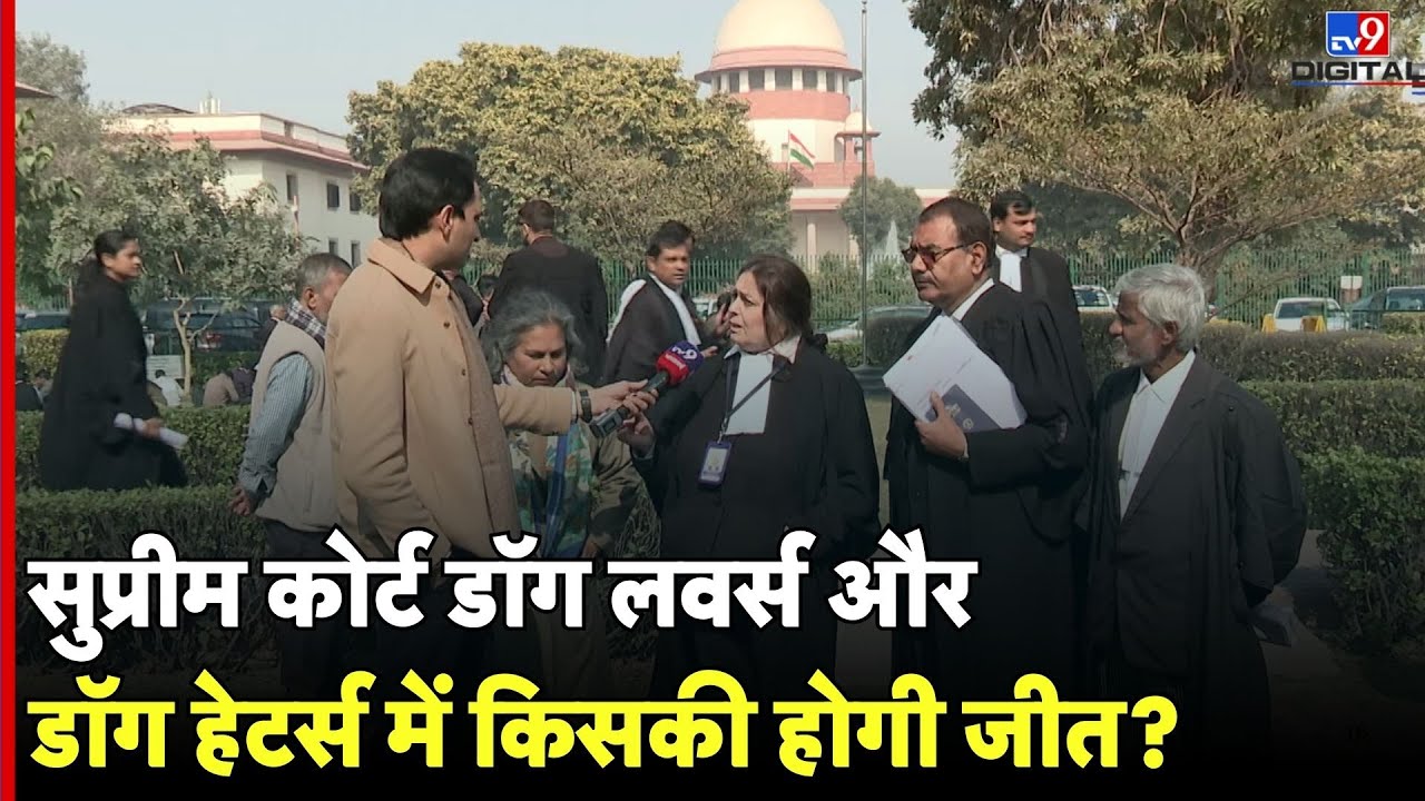 SC On Dog Lovers: डॉग लवर्स Vs डॉग हेटर्स सुप्रीम कोर्ट में किसकी होगी जीत? TV9D